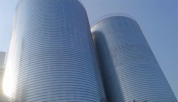 雨山2座混凝土高架卷板仓